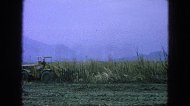 1965: A Man Driving a Large Backhoe to Clear Brush from a Lot in Mexico