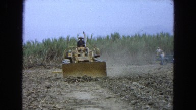 1965: push around truck farm preparation new plantation MEXICO