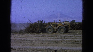 1965: yellow bulldozer farmer pushing brush clearing field slowly MEXICO