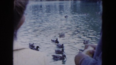 1961: Two Girls in Winter Coats Tossing Bread to Ducks at Park Pond Michigan