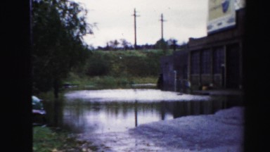 1956: Building Banner Trees Brick Wall Fence White Huge Water Trees Boston