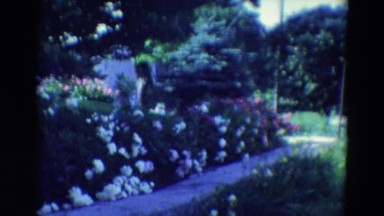 1969: amazingly beautiful garden with flowers, lawns, trees
