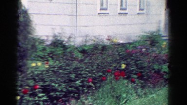 1954: garden scene flowers pretty many colours beautiful OHIO