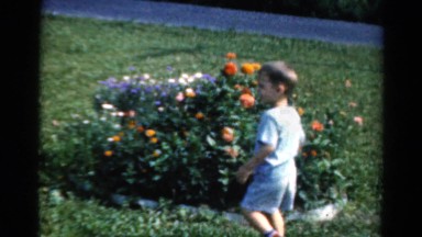 1954: little boy playing by a flower bed running to his momma OHIO