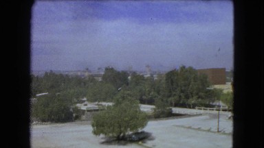 1962: View of an Office Complex Parking Lot Surrounded by Trees in Mexico