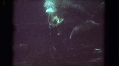 1962: Scuba Diver Swimming Underwater with Fish in San Pedro, California