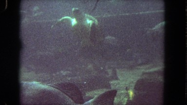 1962: The Aquarium Tank Has All Kinds of Marine Life Cohabitating San Pedro
