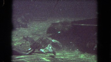 1962: fish and ocean animals swimming and being fed by a diver SAN PEDRO