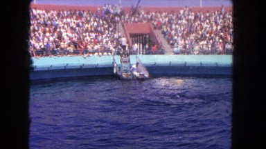 1962: crowd observing circus water flip SAN PEDRO, CALIFORNIA
