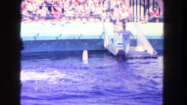 1962: the playful dolphin mocks his trainer for the crowds pleasure SAN PEDRO