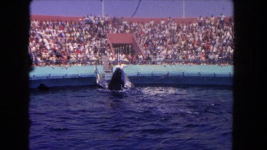 1962: this sea is gorgeous and crystal clean like the ocean and the sky