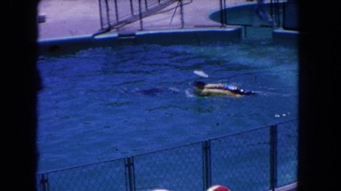 1962: good sport by this animal very beautifully to watch. SAN PEDRO, CALIFORNIA