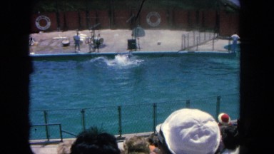 1962: a dolphin show at the pool SAN PEDRO, CALIFORNIA