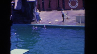 1962: workers at a theme park overlooking a dolphin in a pool SAN PEDRO