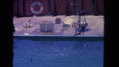 1962: on vacations watching a dolphin performing in a wonderful way SAN PEDRO