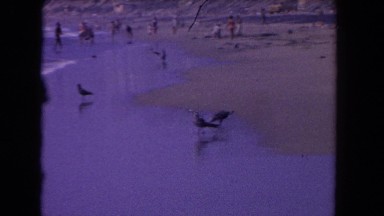 1962: entry and removal of water in a coastal area following the sway