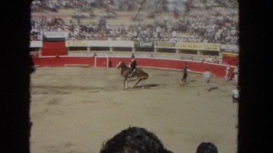 1962: horse riding wild open outdoor people watch SAN PEDRO, CALIFORNIA