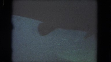 1962: underwater view of various fish and perhaps a large sea turtle SAN PEDRO