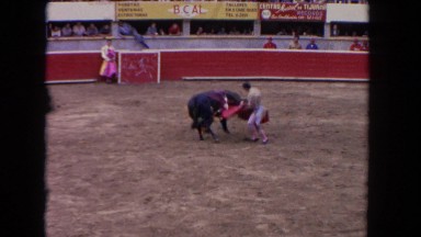 1962: a bull charging and attacking a bull fighter in a stadium SAN PEDRO