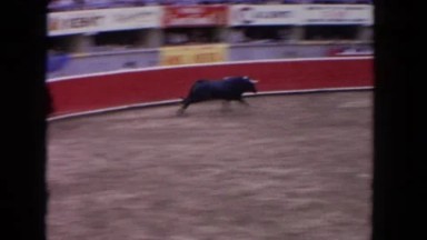 1962: The Sport of the Bullfight or La Corrida del Toros in San Pedro, California