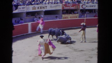 1962: a bull charging and attacking a bull fighter in a stadium SAN PEDRO