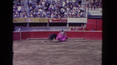 1962: a bull charging and attacking a bull fighter in a stadium SAN PEDRO