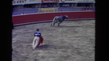 1962: bull man teases wild bull dangerous move crowd cheers SAN PEDRO,