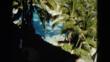 1962: outdoor greenery garden beautiful lush beauty MEXICO