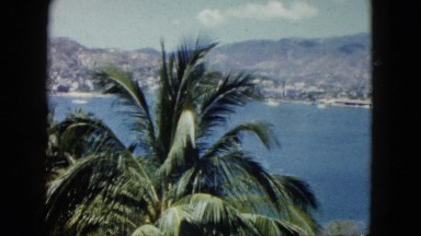 1962: view of a tropical vista across an ocean inlet with a large palm tree