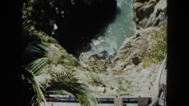 1962: water flows as the trees sway in the wind. MEXICO