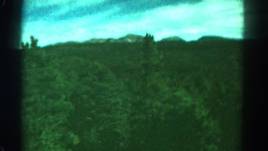 1967: driving through a forest of trees. COLORADO