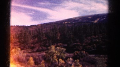 1967: beautiful sight of trees on a sunny day on the road COLORADO