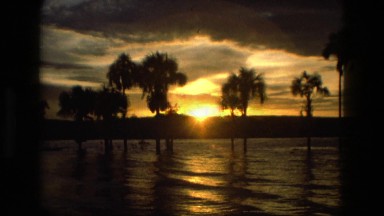 1979: Sunset Water View Beautiful Unique Trees Between Gaps Brazil