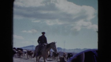 1959: cowboys herding cattle in desert with mountains in the distance ARIZONA