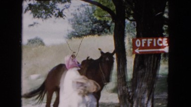 1961: Visitors Pass By a Tied Ranch Horse Wearing a Halter