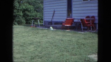 1963: vintage clip of a man playing with a dog on a yard
