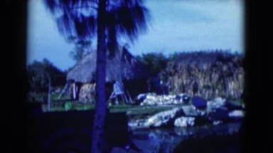 A View of Tiki Huts in a Tropical Paradise, Florida