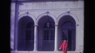 1972: A Woman in a Long Red Jacket Walking to a Primate Building in Wisconsin