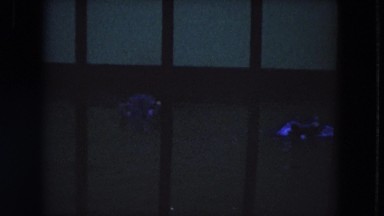 1972: two hippopotamuses swimming in zoo exhibit WISCONSIN