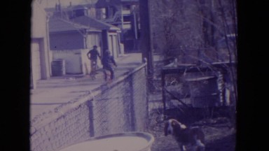 1972: squirrel on the tree, dogs in the kennel, and people moving on bicycles