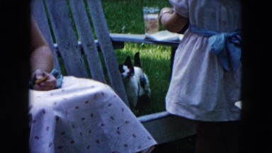 1955: outdoor party walking garden play enjoyment talking family HICKSVILLE