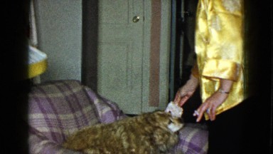 1958: the dog plays with his master for a moment in time NEVADA