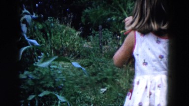1955: cute little girl makes faces while pulling up carrots from a garden