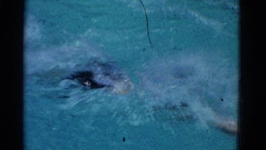 1953: a boy swims butterfly in a pool. NEW YORK