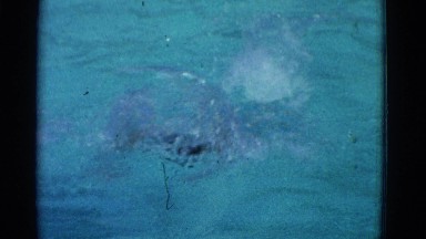 1953: swimming at the pool one little girl swims