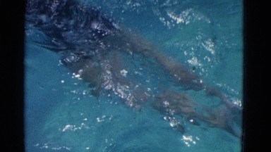 1953: swimming lessons NEW YORK