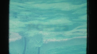 1953: swimming scene blue freestyle splash in water NEW YORK