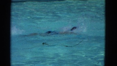 1953: kid swimming pool freestyle move fast water waves NEW YORK