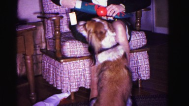 1967: dog interested master unpacking gift indoor HAGERSTOWN, MARYLAND