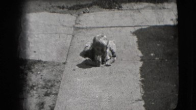 1942: a little boy icon the ground and learning how to stand up NEW YORK